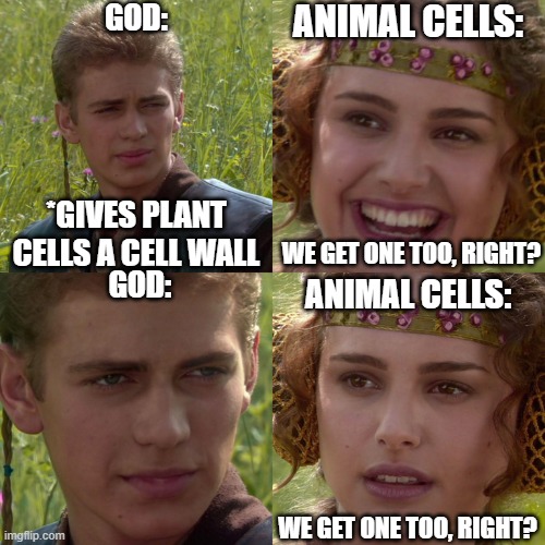 The Great Cellular Housing Crisis