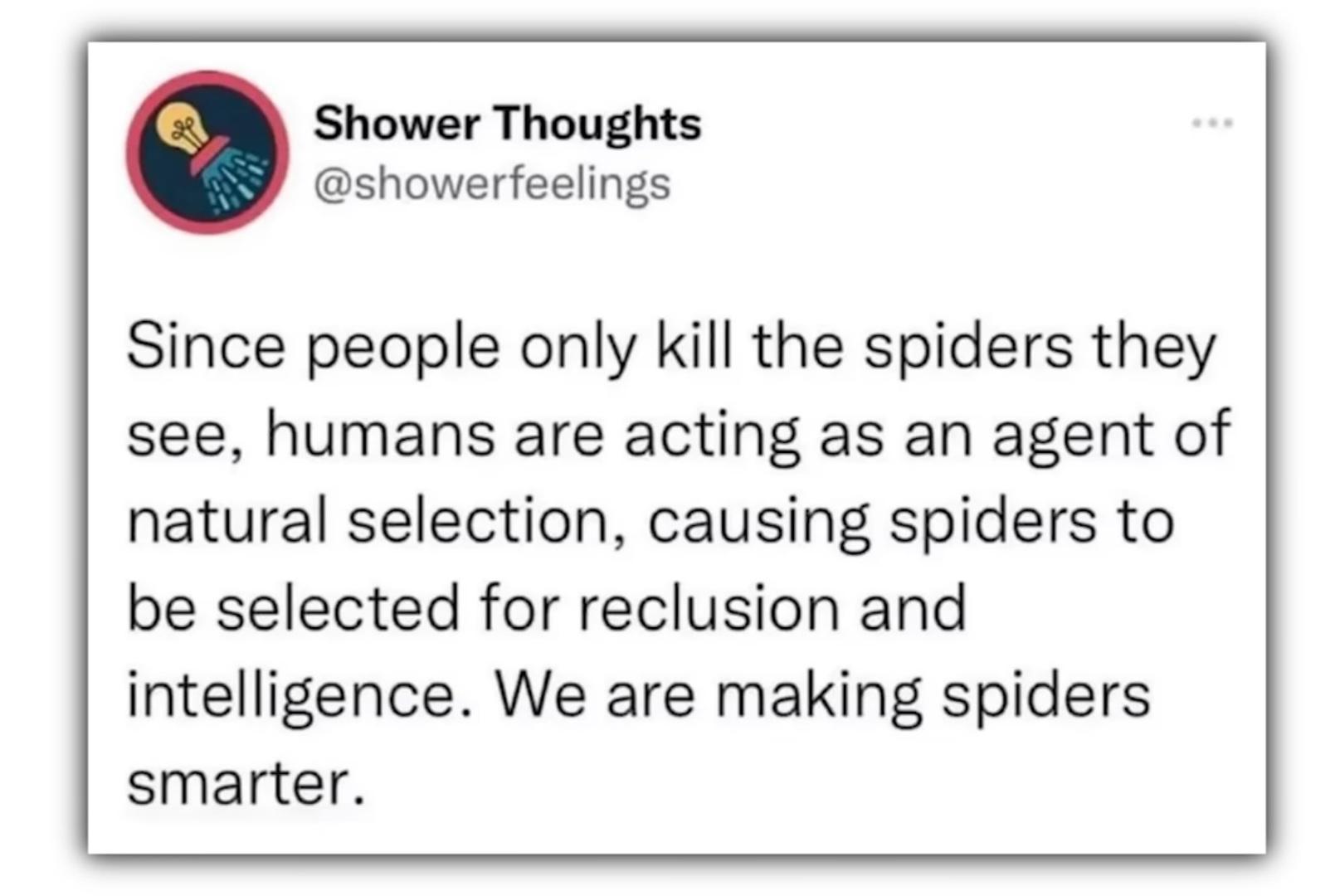 Accidentally Creating Spider Masterminds
