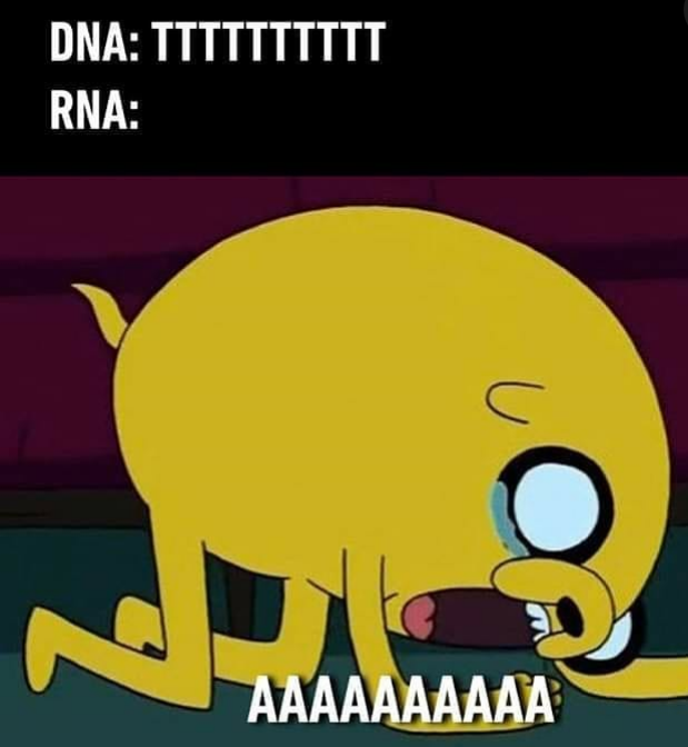 Screams In Adenine