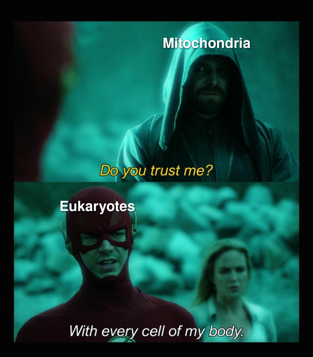 The Cellular Hostage Situation