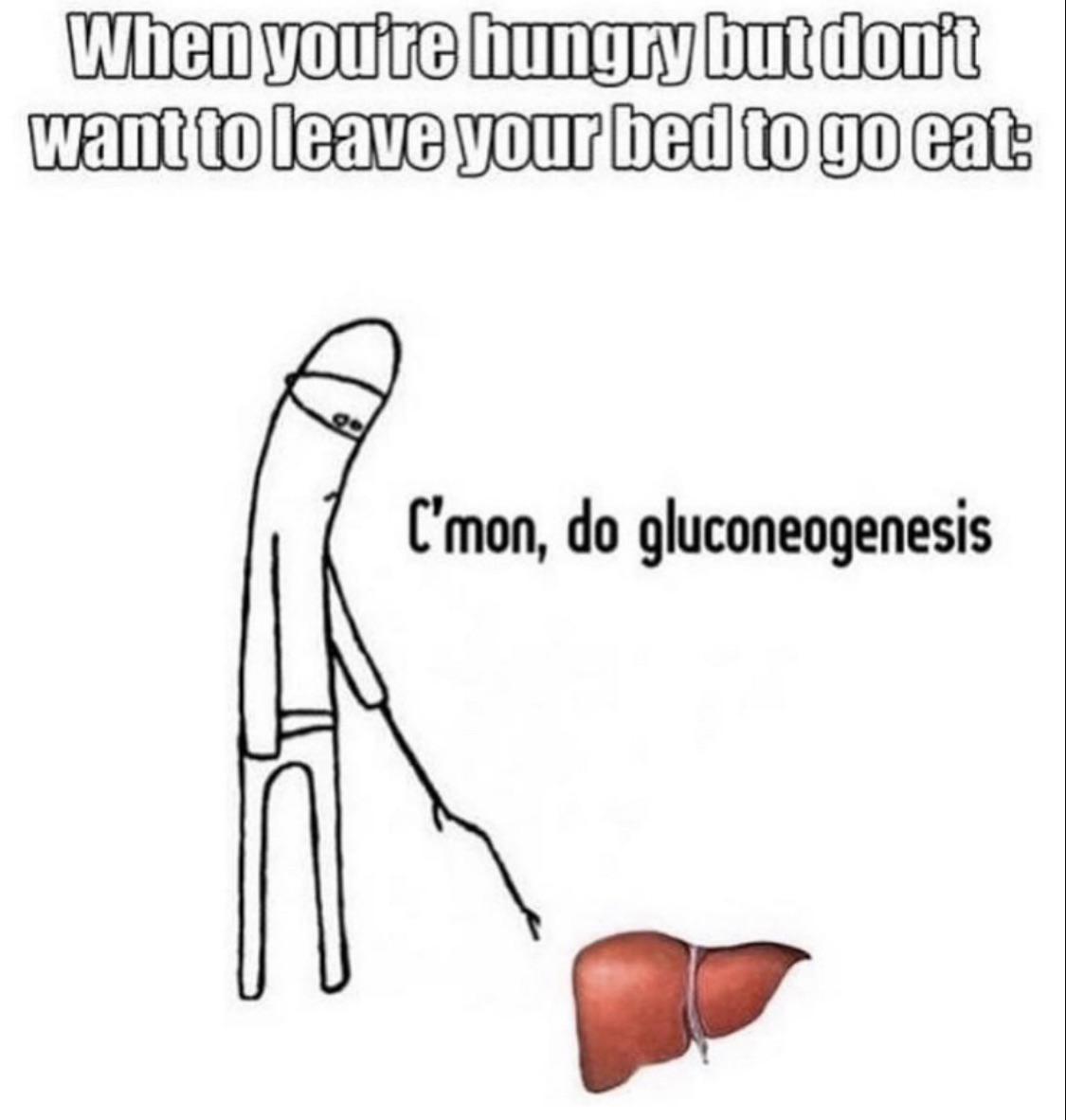 C'mon, Do Gluconeogenesis