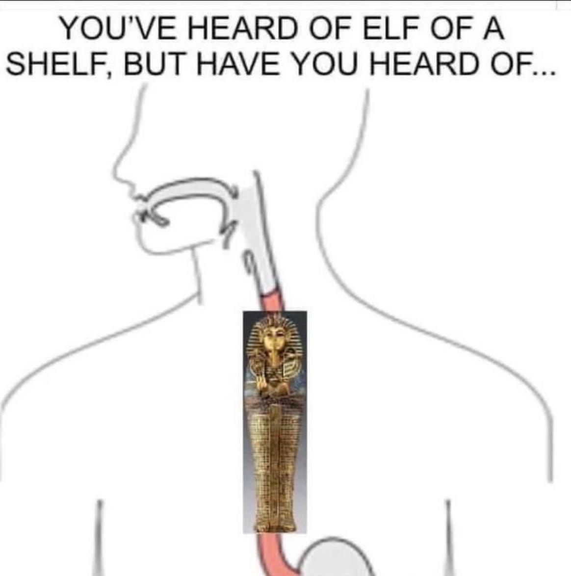 Tut In A Gut: Ancient Egypt Meets Anatomy