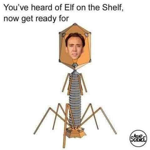 Cage On A Phage