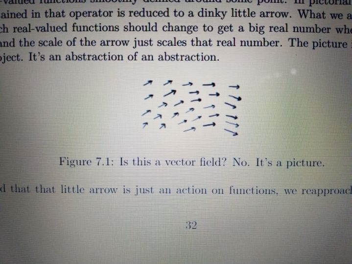Is This A Vector Field? No, Just Academic Pedantry