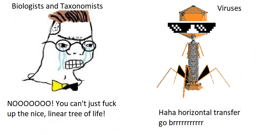 The Viral Rebellion: When Taxonomy Meets Horizontal Gene Transfer