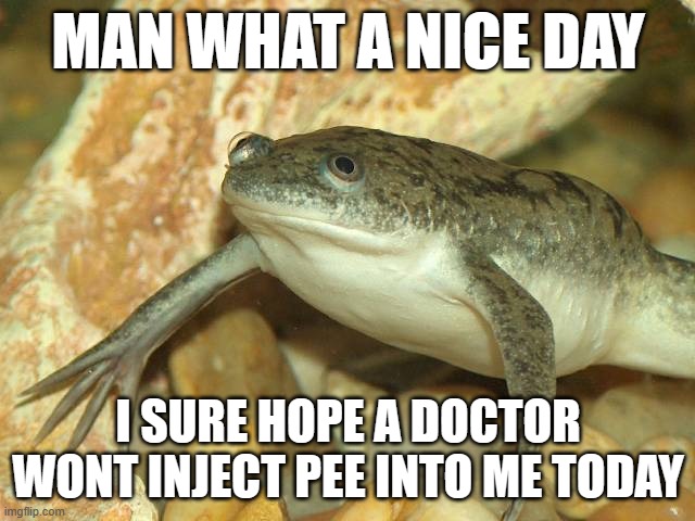 The Frog's Perspective On Medical Innovation