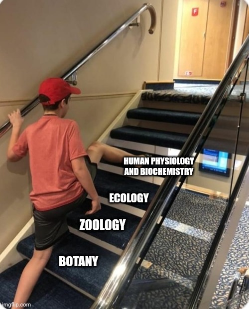 The Scientific Ladder Of Importance