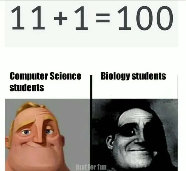 Binary Humor: When 11+1=100 Makes Perfect Sense