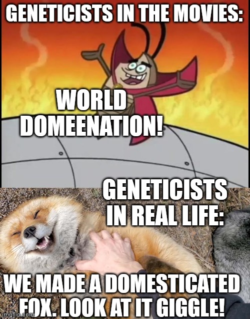 Perception Is Never Reality: Geneticists Edition