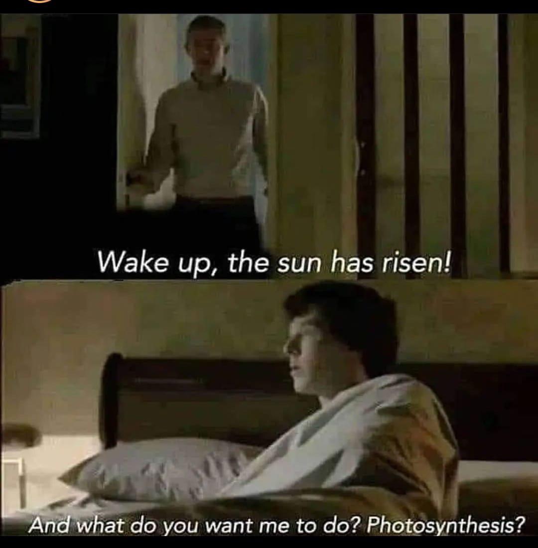 Every Morning: Human Photosynthesis Failure
