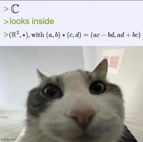 Everything Is Fancy Real Numbers If You're Brave Enough