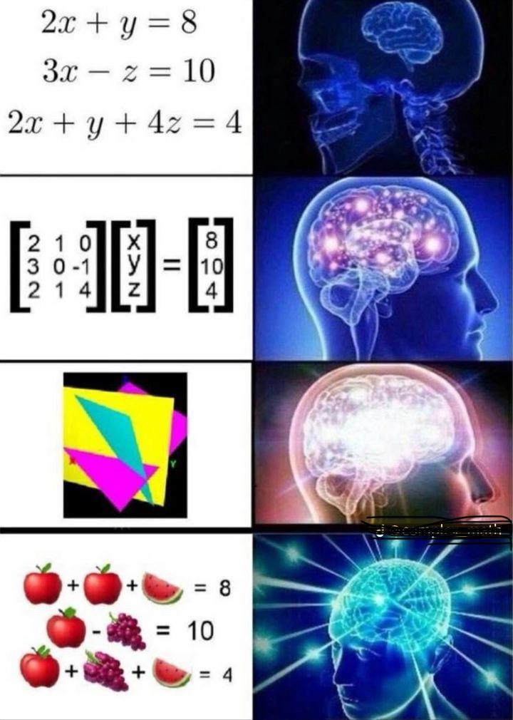 The Evolution Of Mathematical Enlightenment