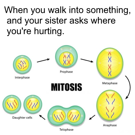The Mitosis Of Pain Detection