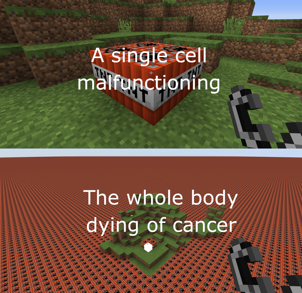 Life Can Be Really Fragile