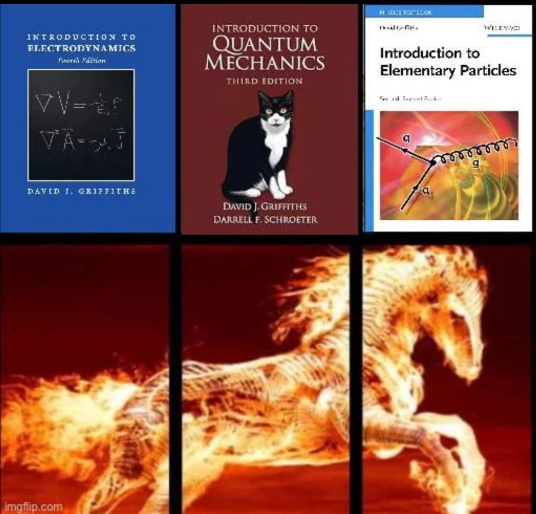 The Griffiths Trilogy: Physics Student's Nightmare Fuel