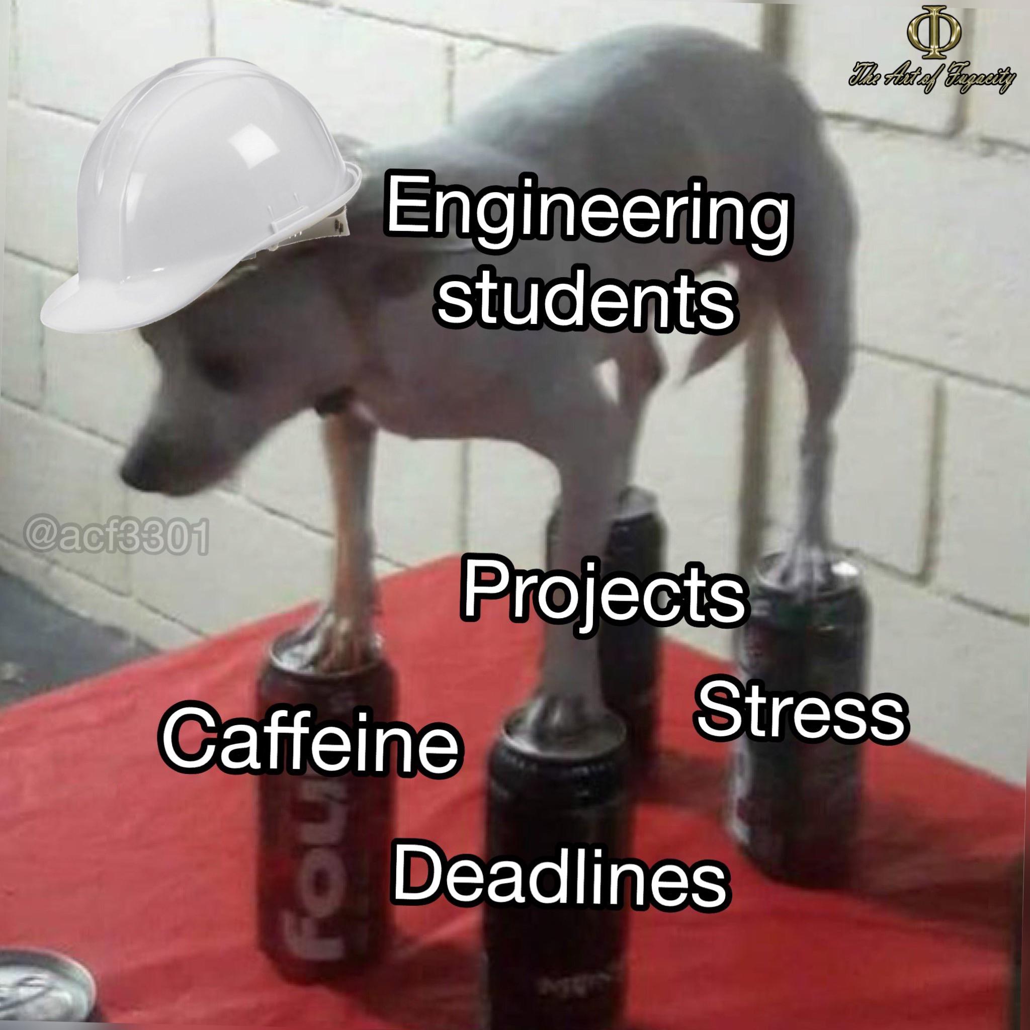 The Precarious Engineering Equilibrium