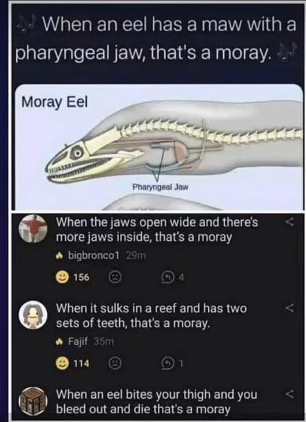 When The Moon Hits Your Eye Like A Big Eel Surprise