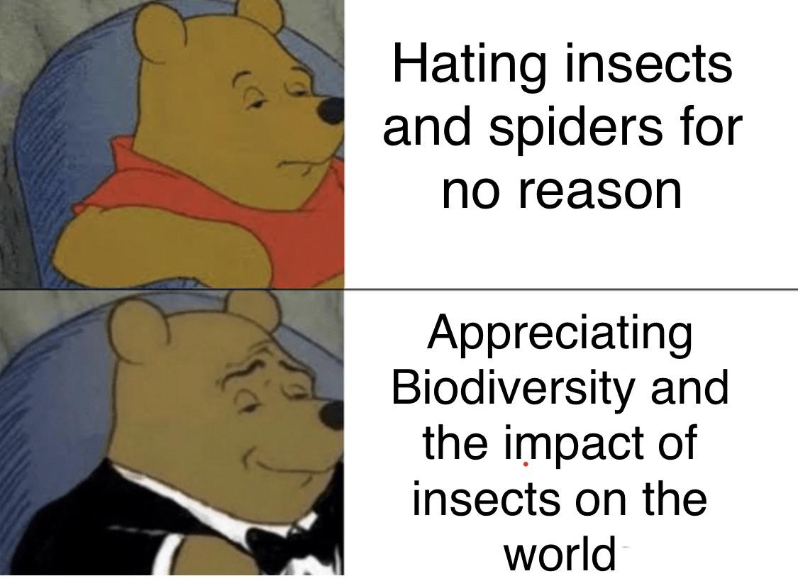 From Bug Hater To Biodiversity Appreciator