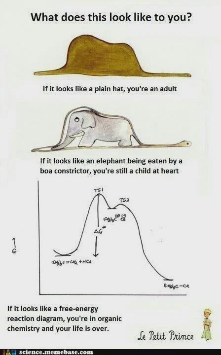 The Three Stages Of Perception