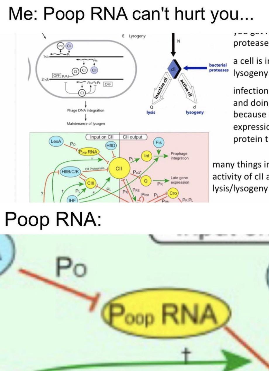 When Your Molecular Biology Nightmares Come True