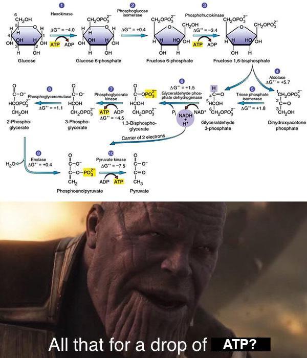 All That For A Drop Of ATP?