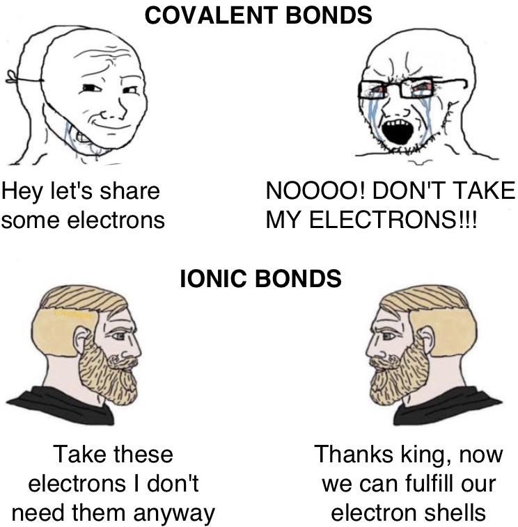 Chad Ionic Bonds vs Virgin Covalent Bonds