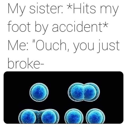 Cell Division Never Waits For An Apology