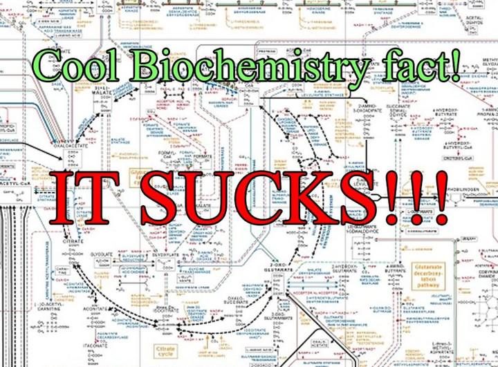 Biology Is Chemistry With Extra Steps