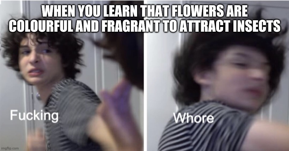 Flowers: Nature's Thirst Traps
