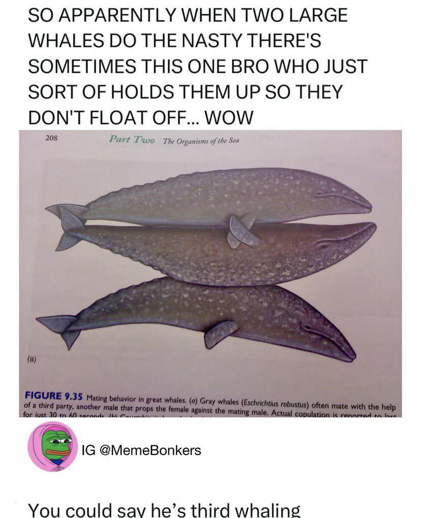 The Original Wingman Of The Sea