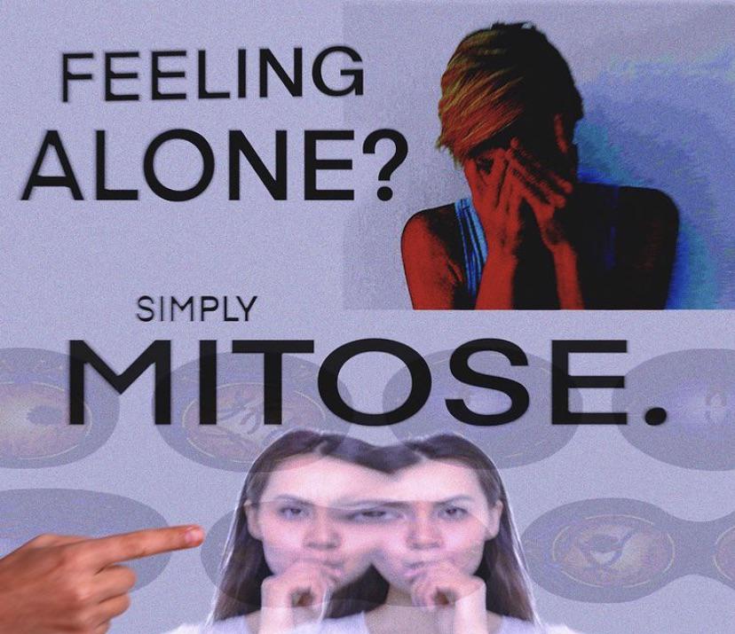 Simply Mitose Your Way Out Of Loneliness
