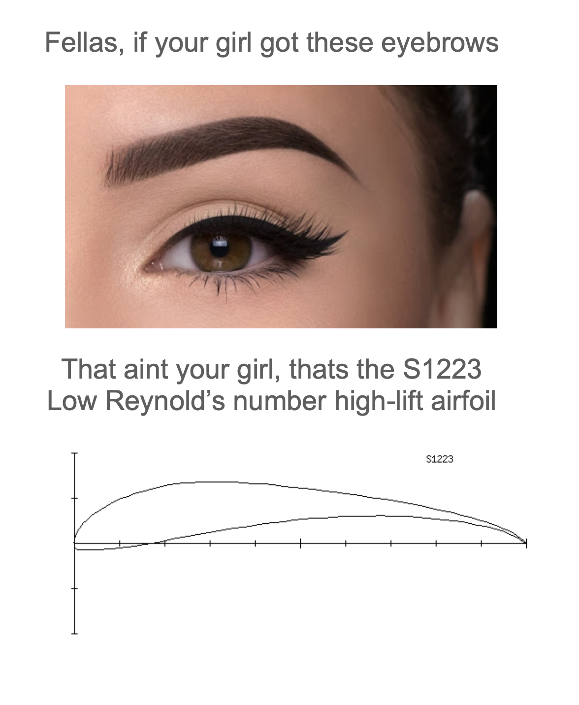 High Lift Low Reynolds Number Airfoil