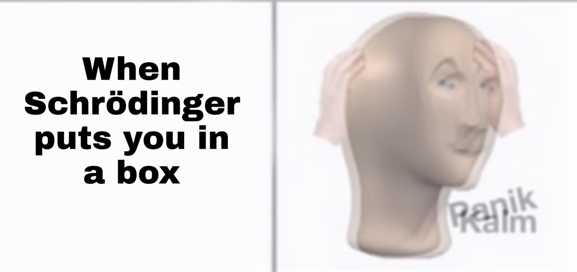 Schrödinger's Existential Crisis
