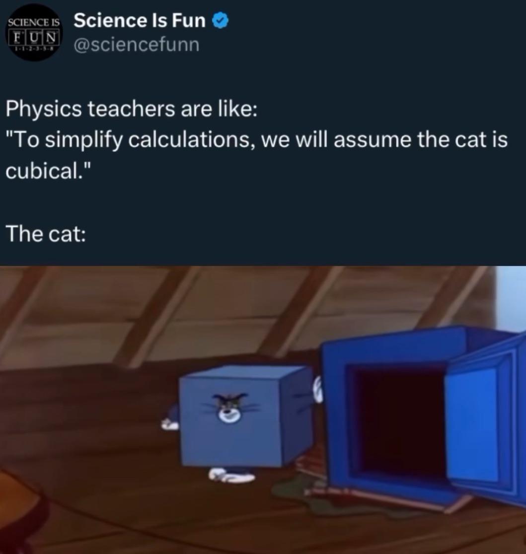 Assume The Cat Is A Cube