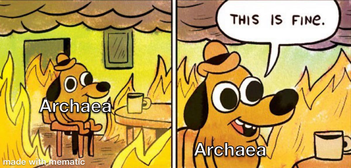 Archaea Be Like