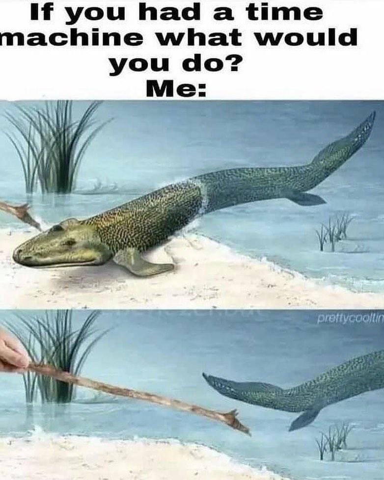 The Grandfather Paradox: Fish Edition