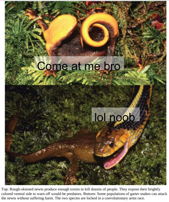 Co-Evolution: Nature's Endless Trash Talk
