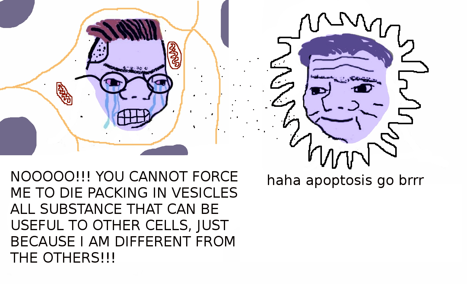 Apoptosis Go Brrr
