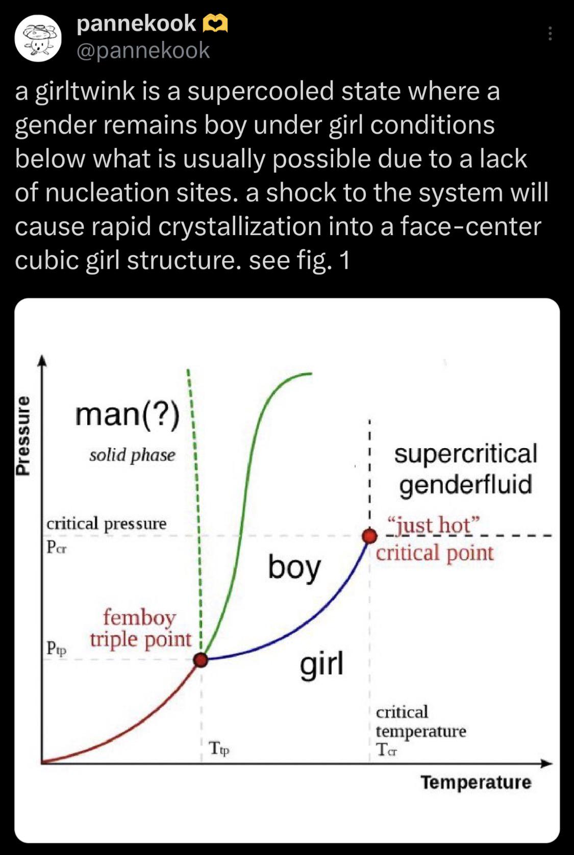 The Thermodynamics Of Gender