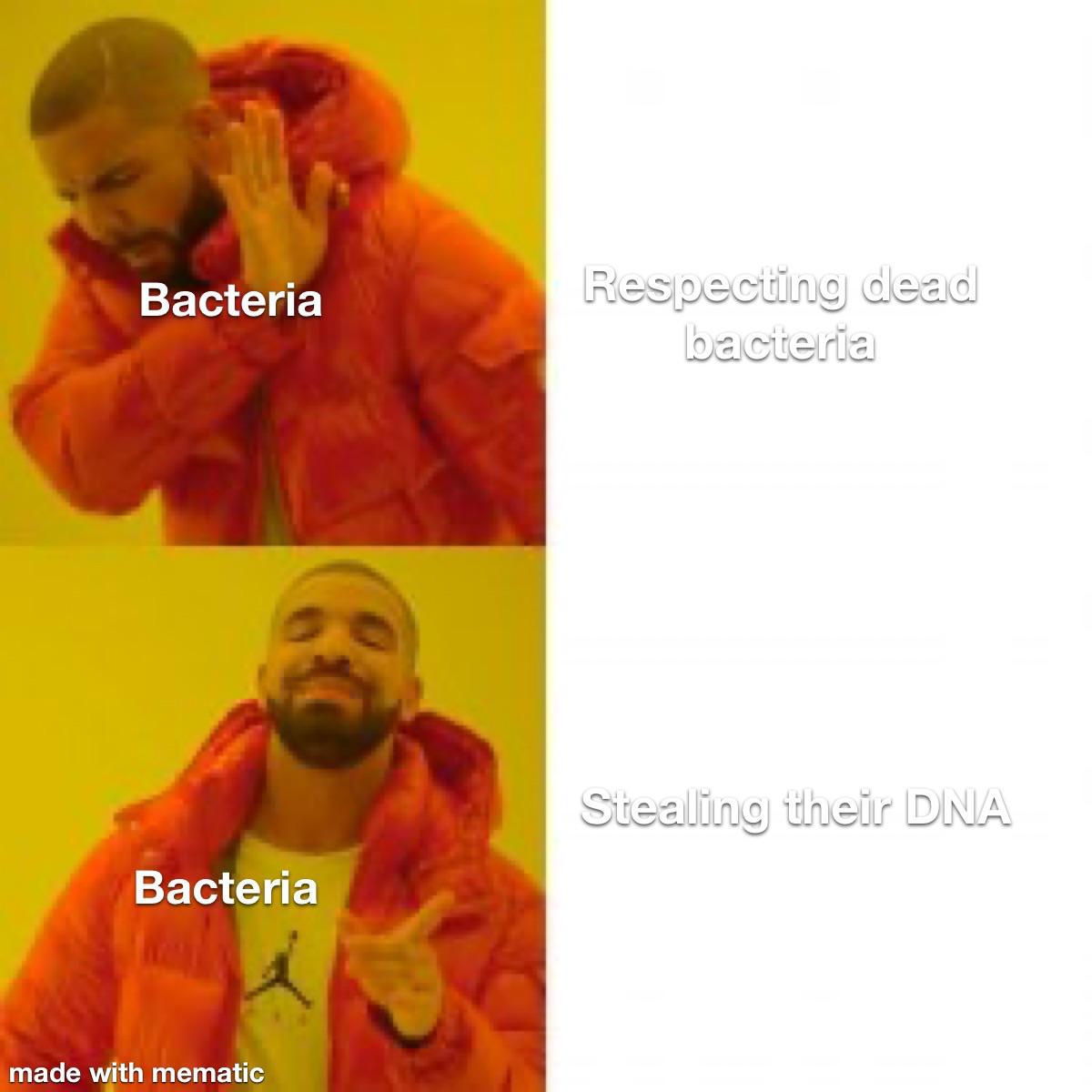 Bacterial DNA Theft: No Respect For The Dead