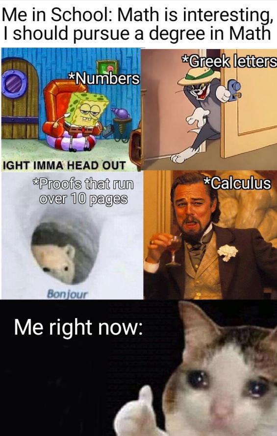 I Pursued Math, But At What Cost?
