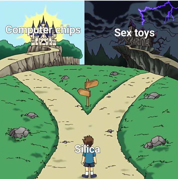 Silicon's Dual Career Path