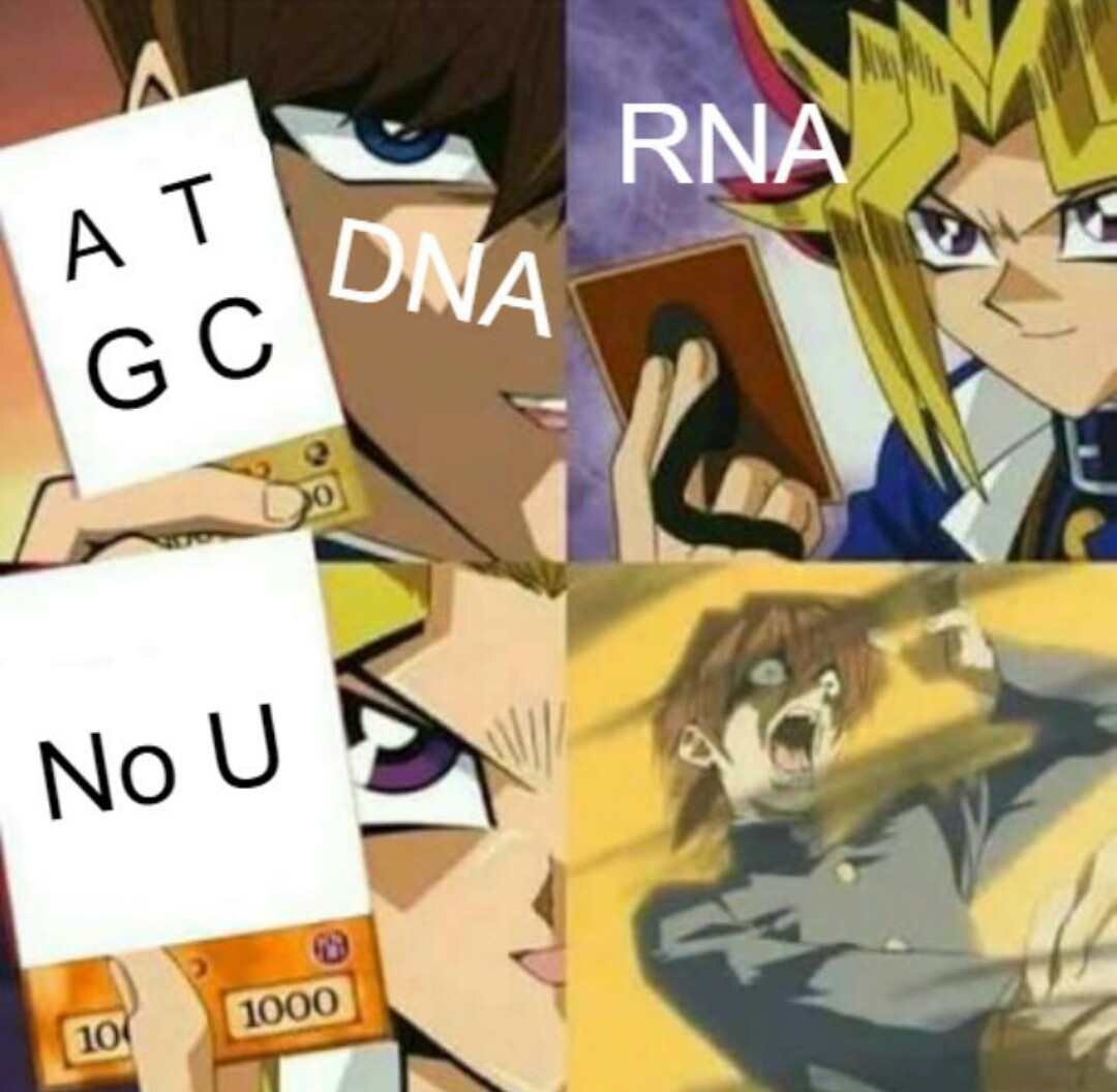 The Nucleotide Card Game