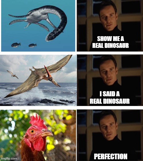 Real Dinosaurs Are Served With Buffalo Sauce