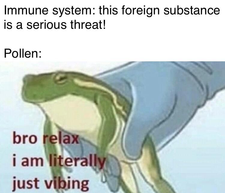 He Really Do Be Vibin