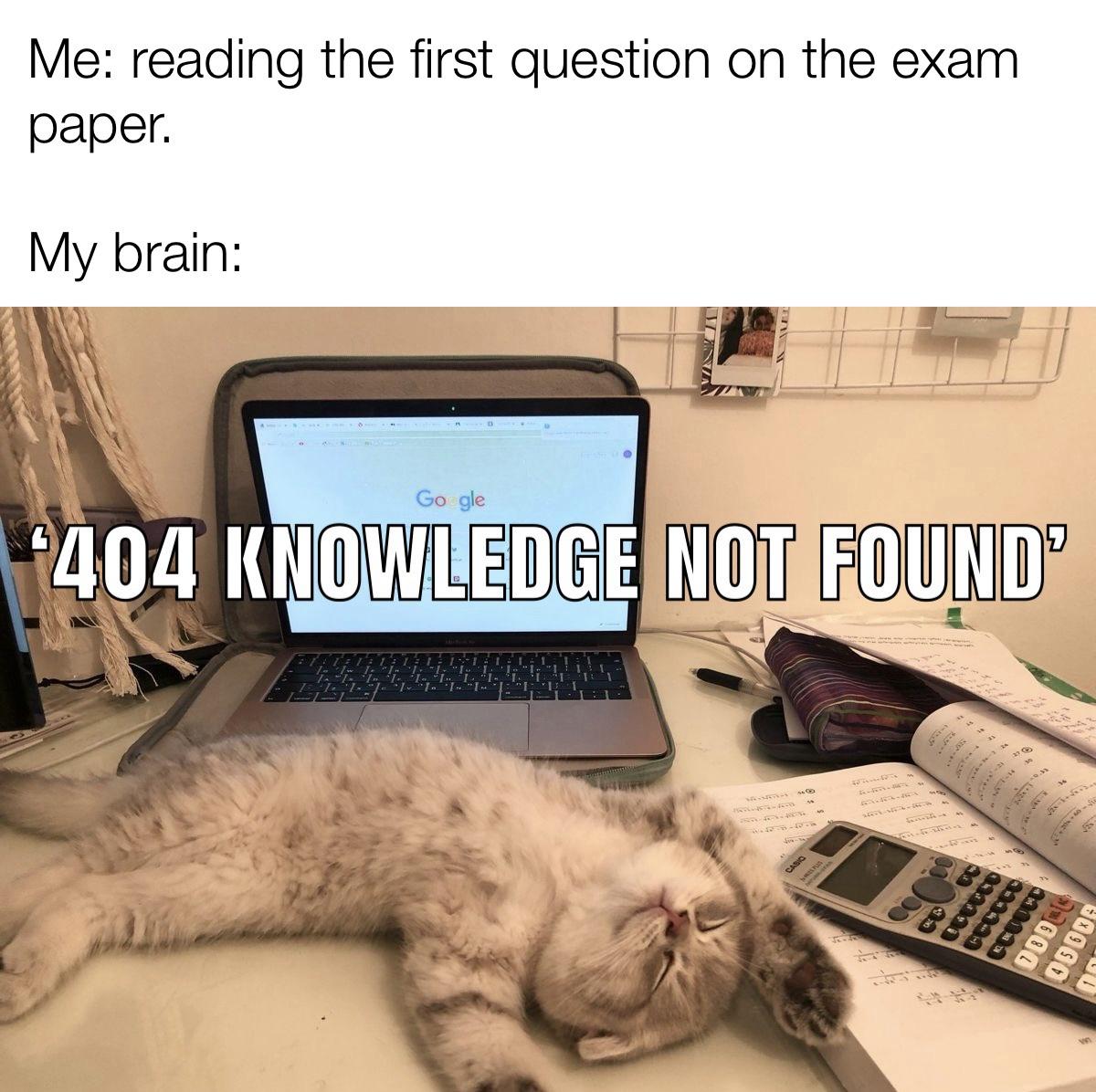404 Knowledge Not Found