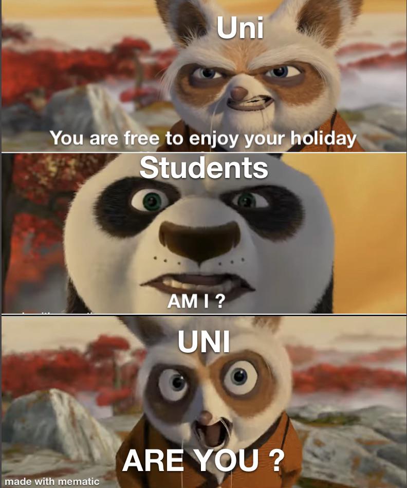 The Academic Paradox: Holiday Or Homework?