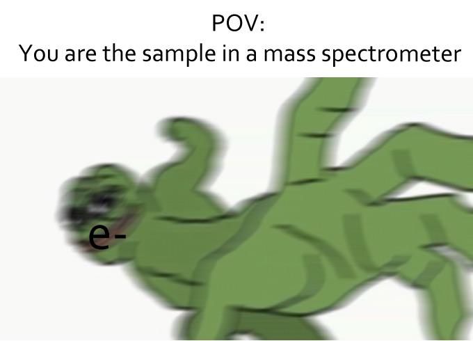 POV: You Are The Sample In A Mass Spectrometer