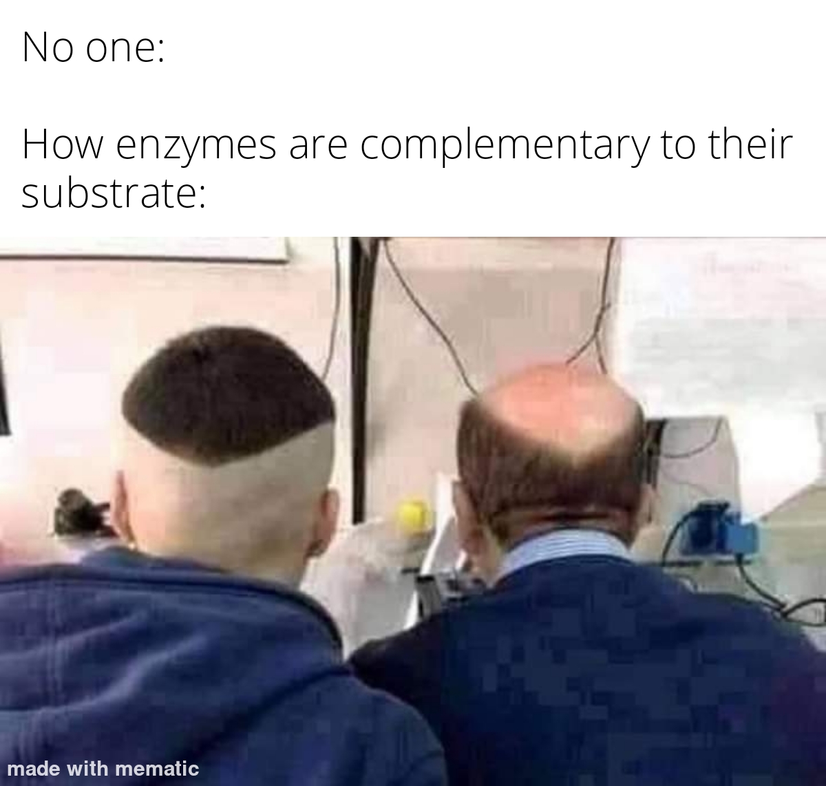 Perfect Enzyme-Substrate Fit