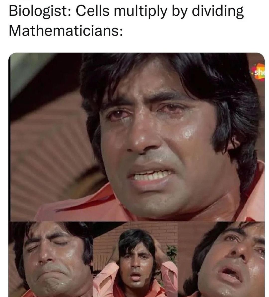 Cells Multiply By Dividing: A Mathematician's Nightmare